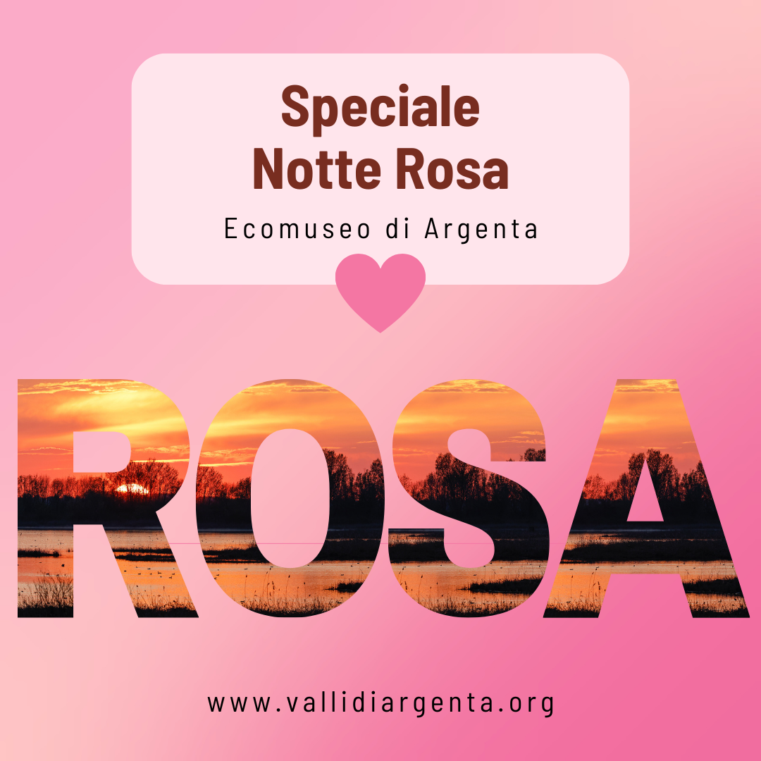 Speciale Notte Rosa